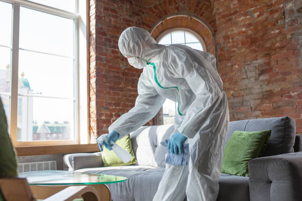 Trusted Brackettville, TX Mold Removal Services Experts