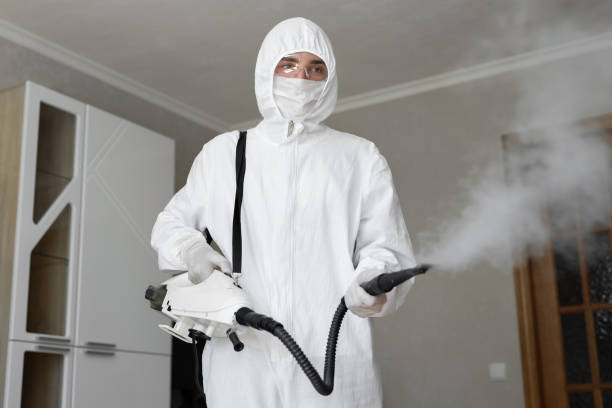 Why You Should Choose Our Mold Remediation Services in Brackettville, TX